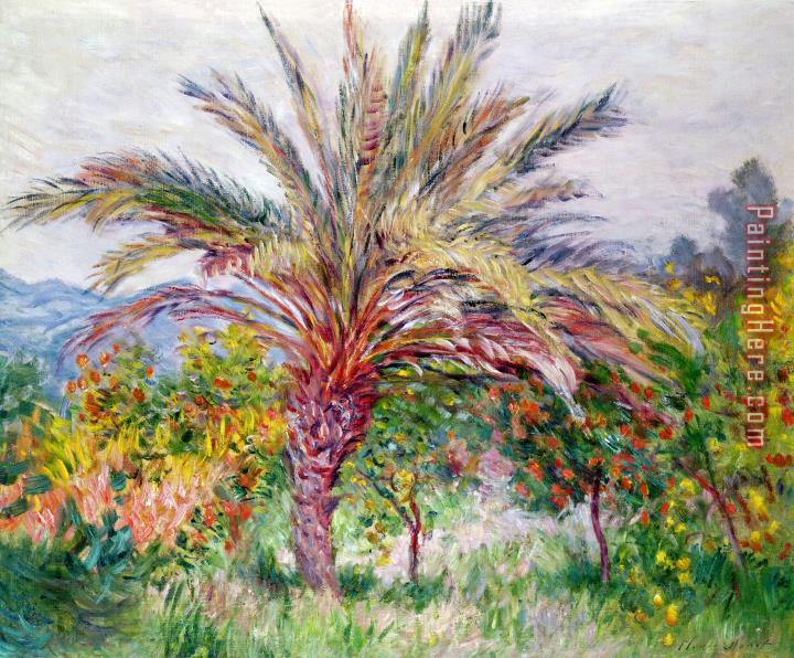 Claude Monet Palm Tree at Bordighera